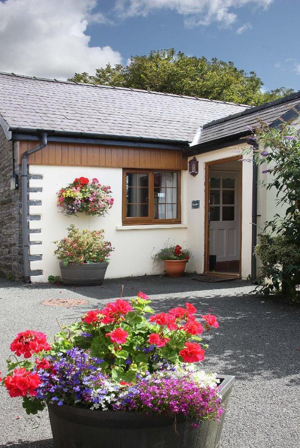 Croft Farm & Celtic Cottages 카디건 외부 사진