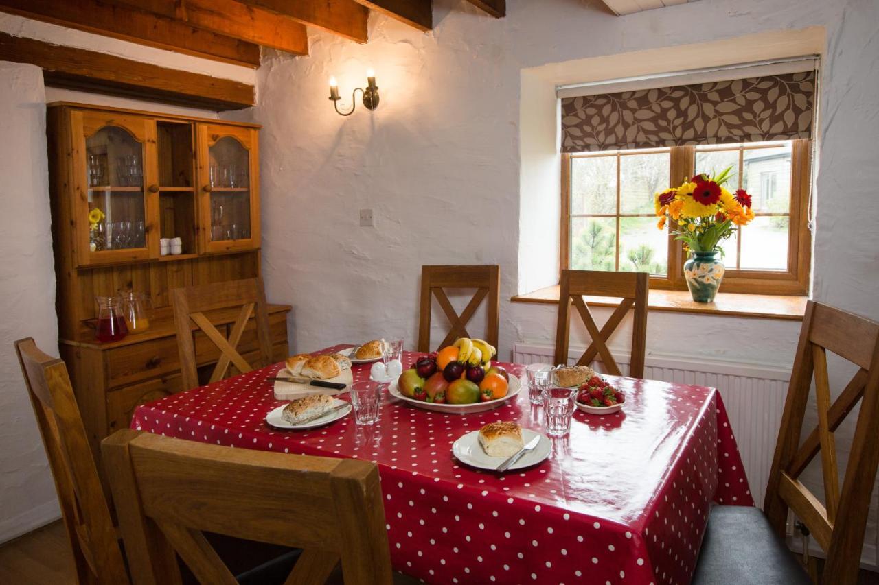 Croft Farm & Celtic Cottages 카디건 외부 사진